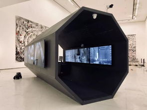 2018西安当代艺术展 跳动中的古城新脉