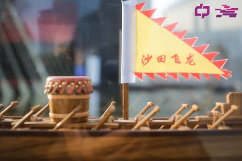 东莞新增一处文化艺术 打卡点 ,邂逅疍家 龙舟和莞草