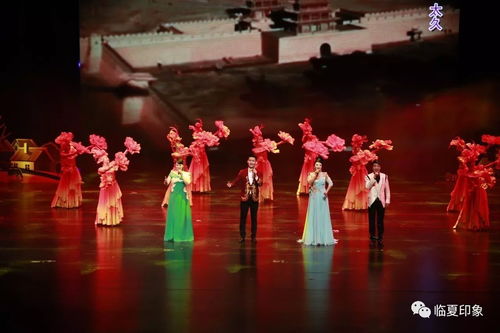 大美临夏 2017临夏国际美食民族用品博览会专场文艺晚会精彩瞬间
