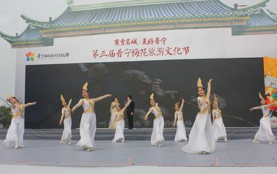 普宁梅花旅游文化节 街头巷尾谈旅游，山区景点赛梅花